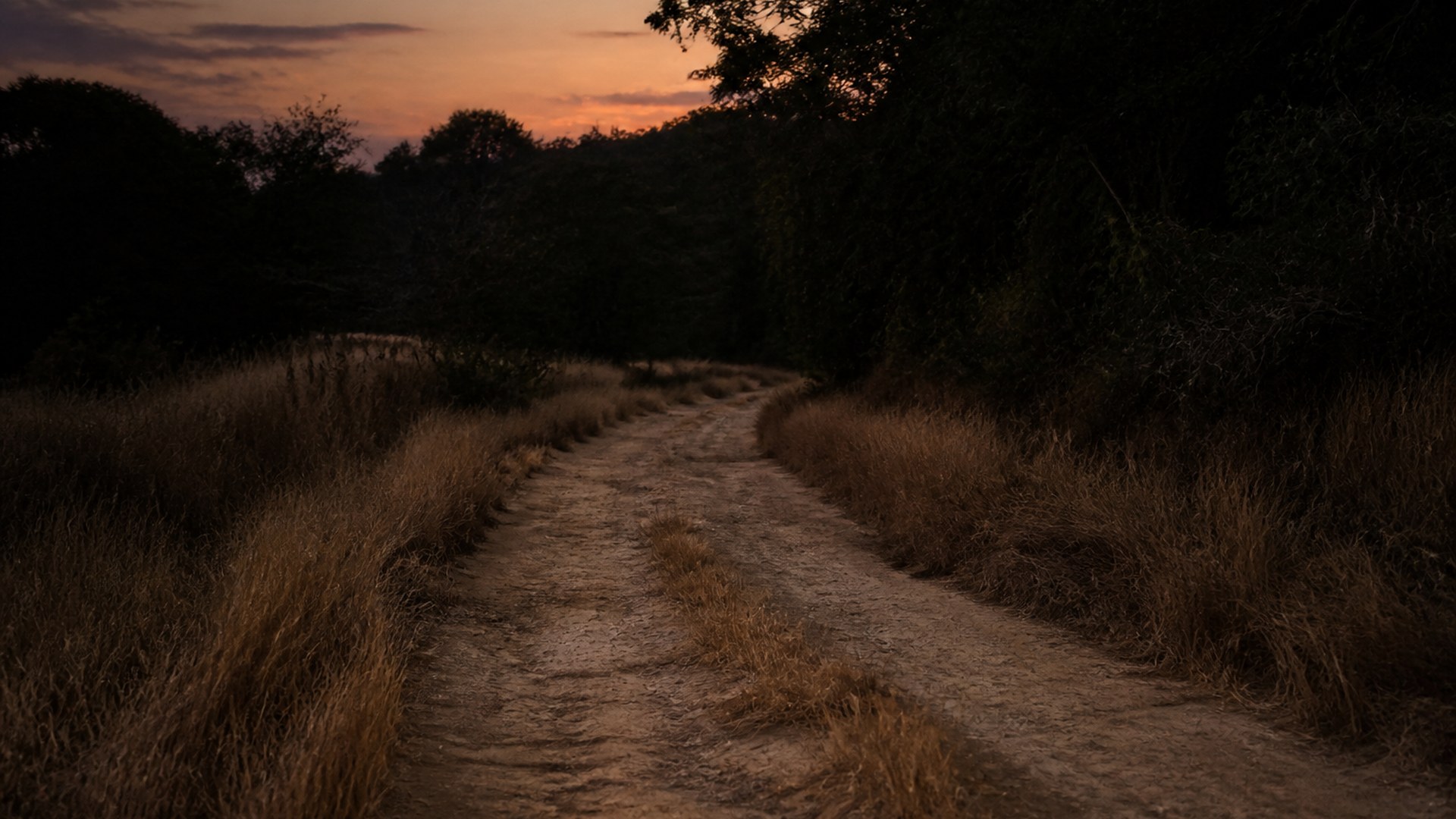 A faint worn track of light through dark ground, dust hanging in low light